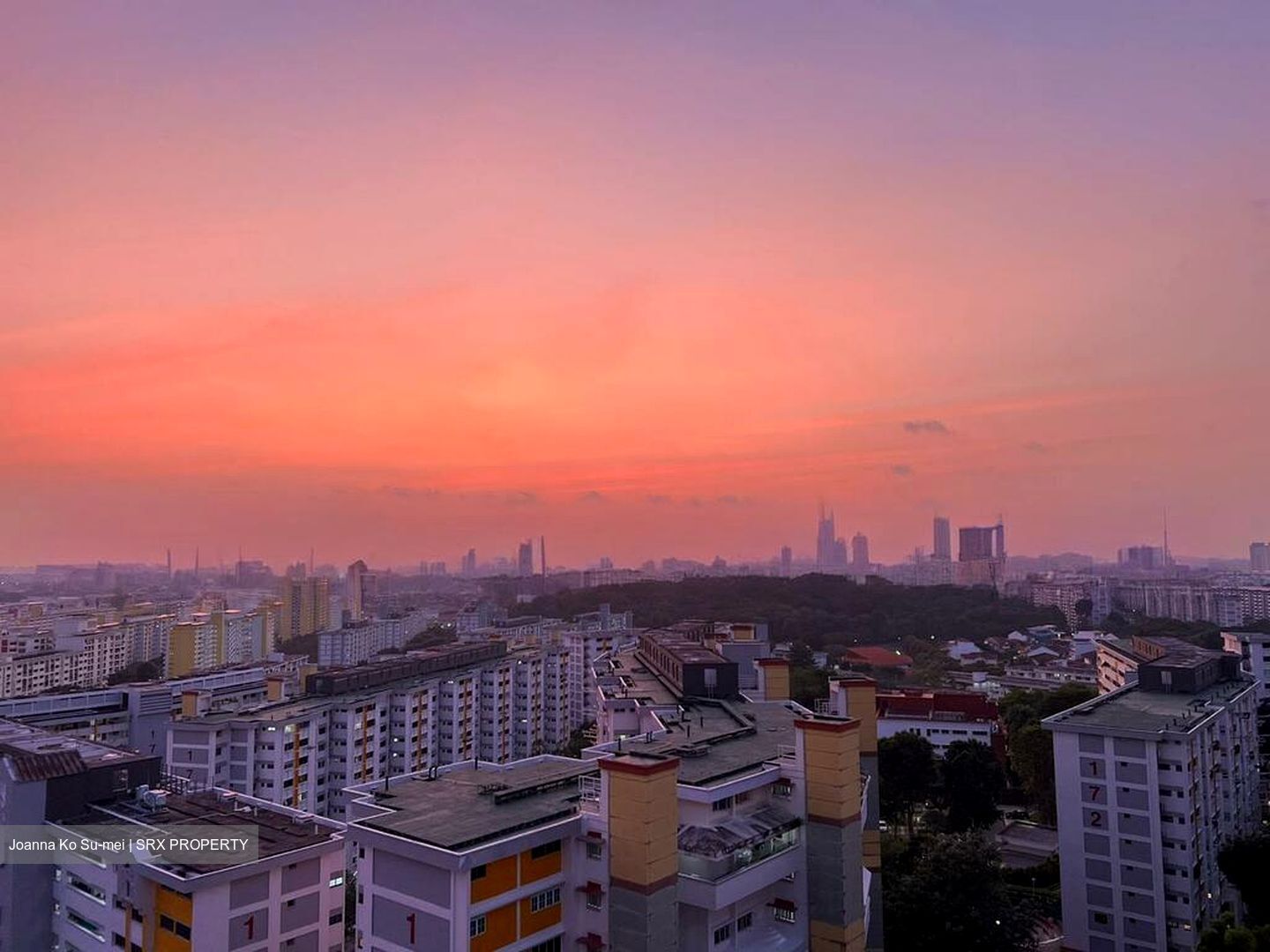 The Panorama (D20), Condominium #617004921